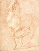 PUGET, Pierre Study of a Horse china oil painting artist